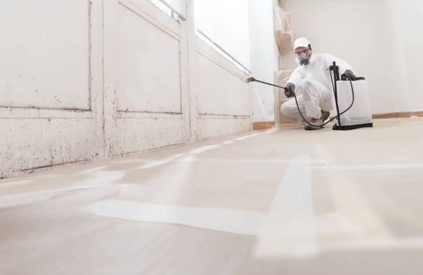 24/7 Emergency Attic Mold Removal experts in Richmond, MI