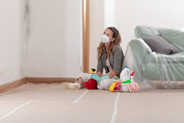 Reliable Mold Remediation contractor in Richmond, MI by Cheap Mold Removal
